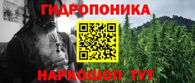 прущие крисы Абинск