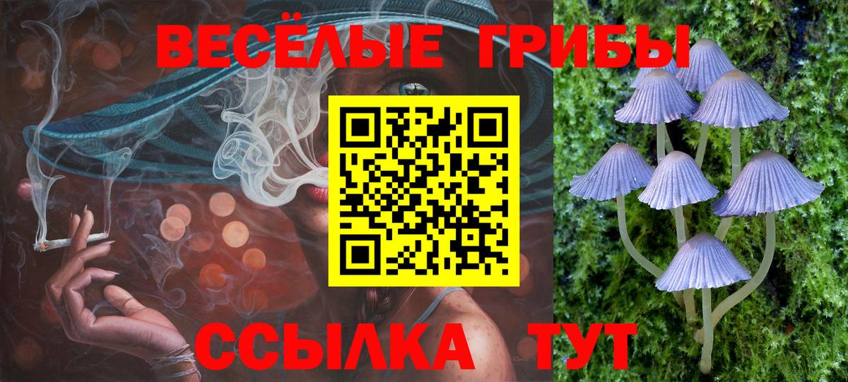 закладки  Галлюциногенные грибы Psilocybe  Вход с VPN  Алексин 