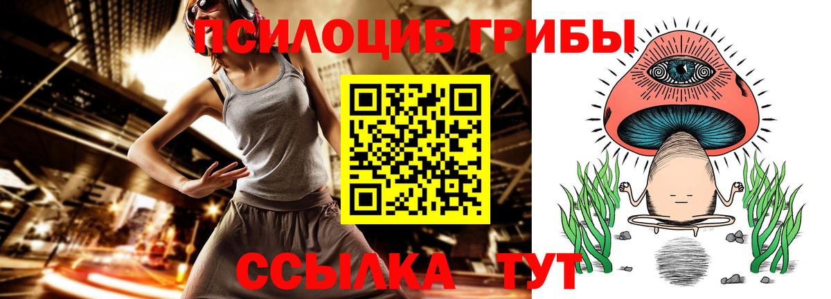 Псилоцибиновые грибы MAGIC MUSHROOMS Алексин